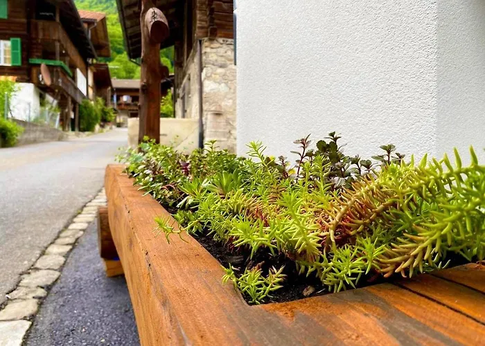 Lejlighed Beim Brunnen Gsteigwiler