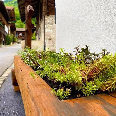 Appartement Beim Brunnen Gsteigwiler